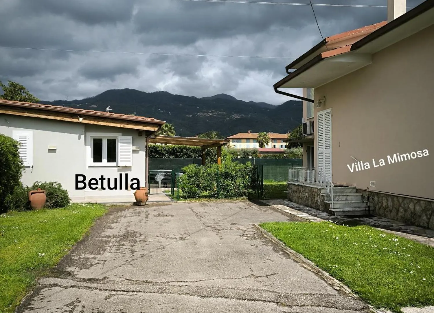 Bilocale Betulla Villa Pietrasanta